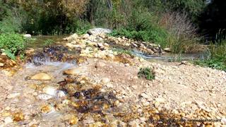 stello marchesa di Cassibile-10-02-2015 19-57-01